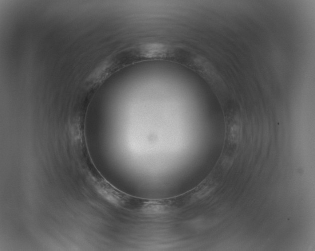 X0000051920620200506241510