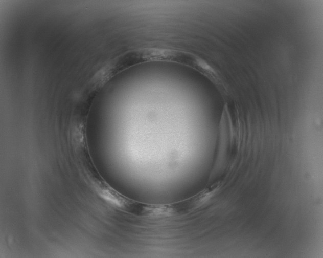 X0000051920621200506241510