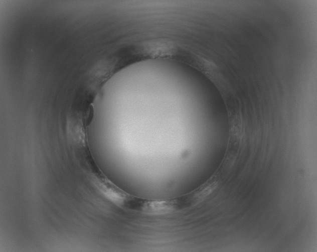 X0000051920622200506241510