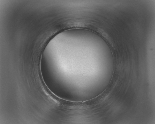 X0000051920625200506241510