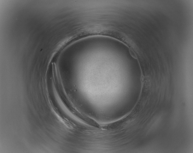 X0000051920626200506241510