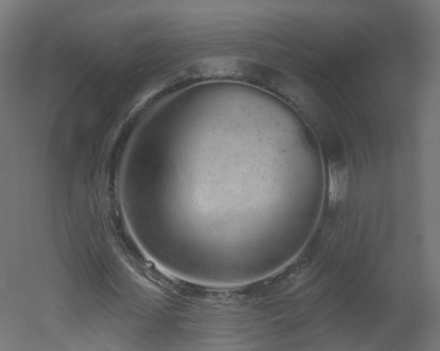 X0000051920627200506241510