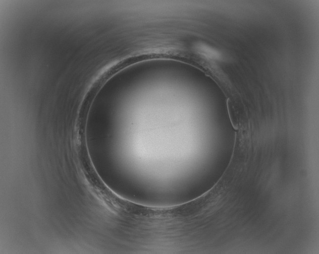 X0000051920628200506241510