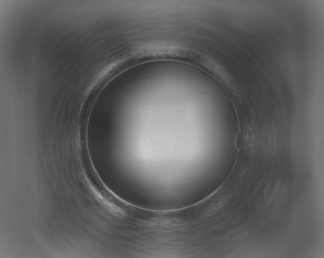 X0000051920629200506241510