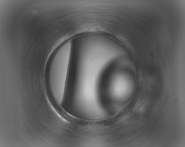 X0000051920630200506241510