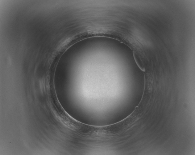 X0000051920631200506241510