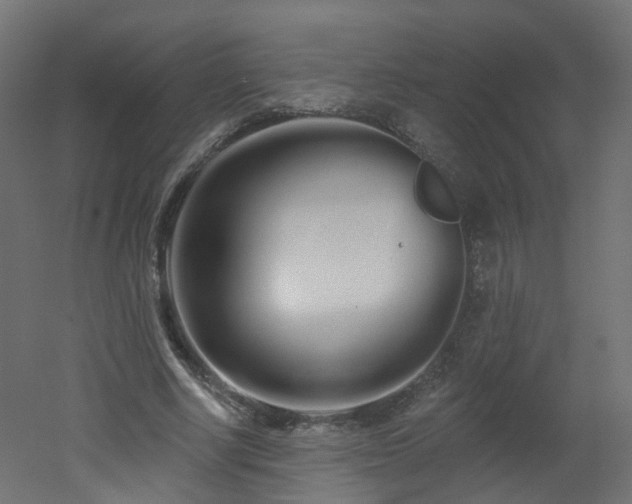 X0000051920634200506241510