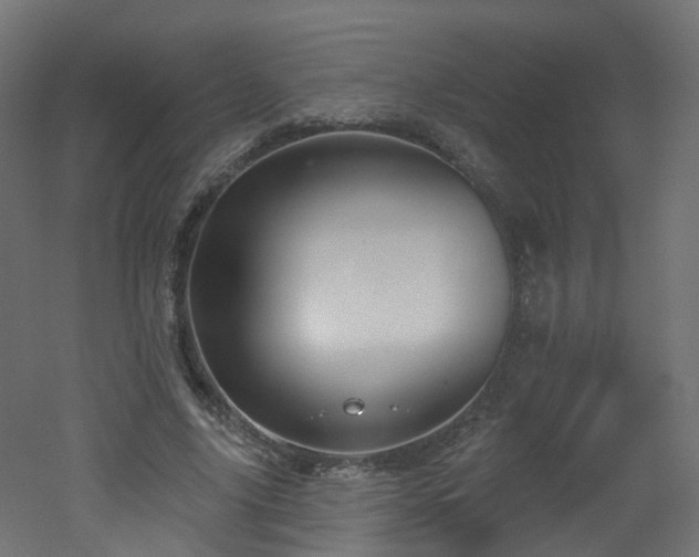 X0000051920635200506241510