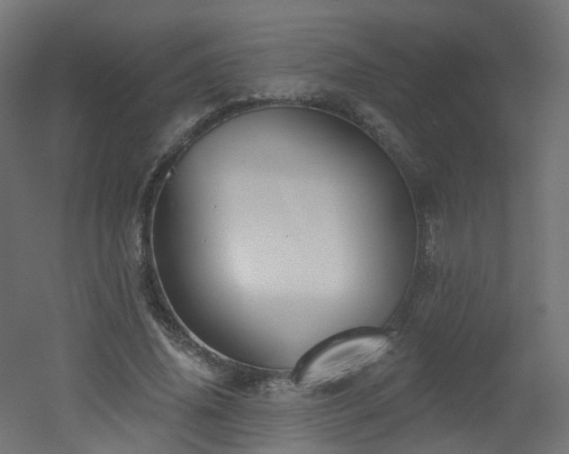 X0000051920636200506241510