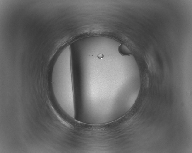 X0000051920638200506241510