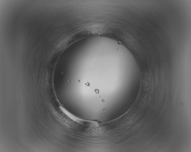 X0000051920639200506241510