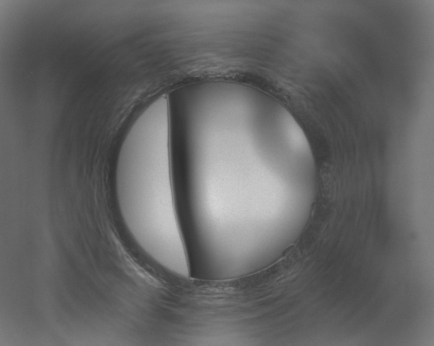 X0000051920642200506241510