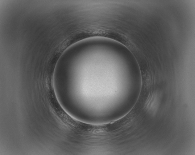 X0000051920643200506241510