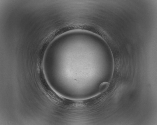 X0000051920644200506241510