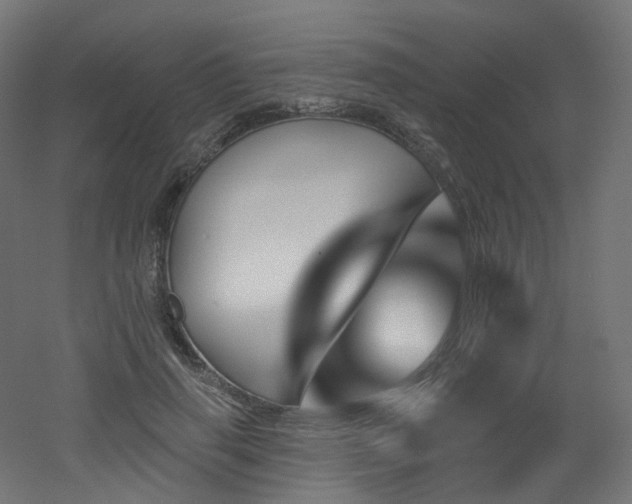 X0000051920645200506241510