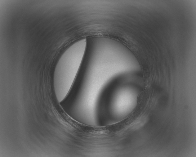 X0000051920646200506241510