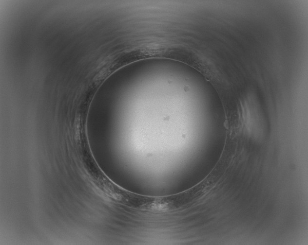 X0000051920647200506241510