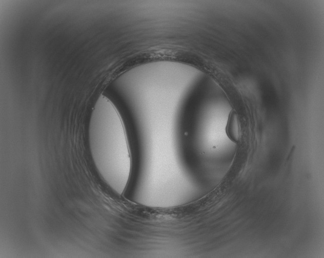 X0000051920649200506241510