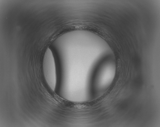 X0000051920650200506241510