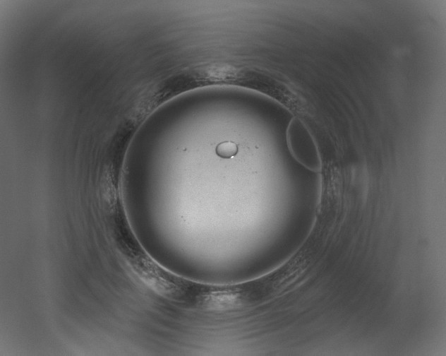 X0000051920651200506241510