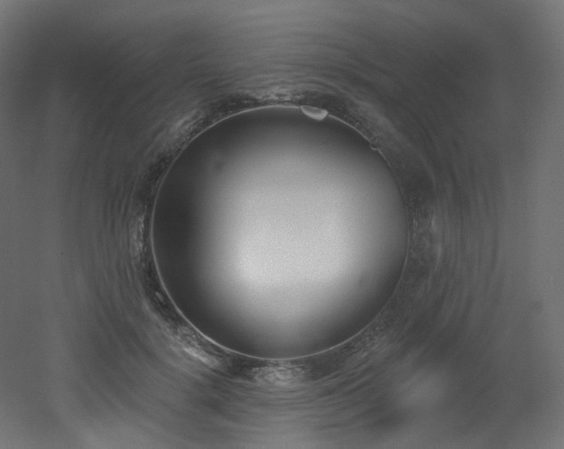 X0000051920652200506241510