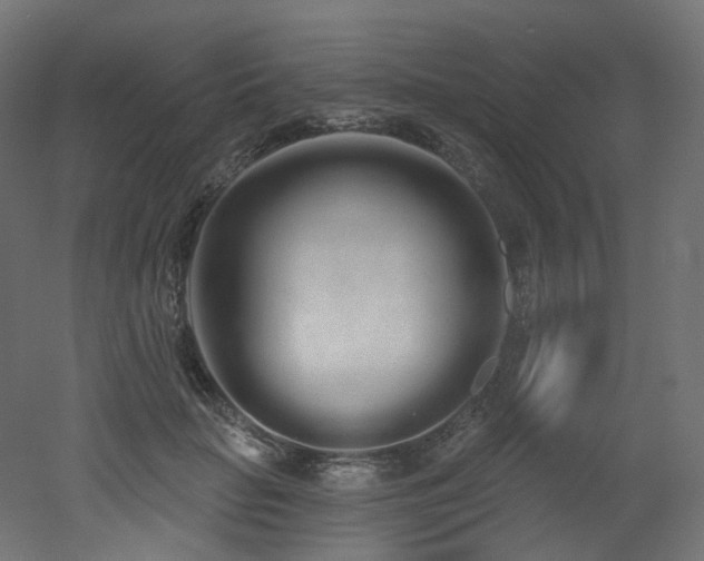 X0000051920653200506241510