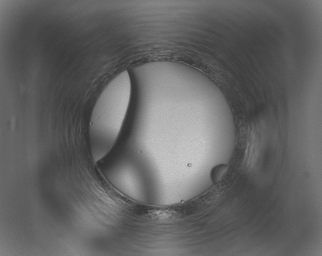 X0000051920654200506241510
