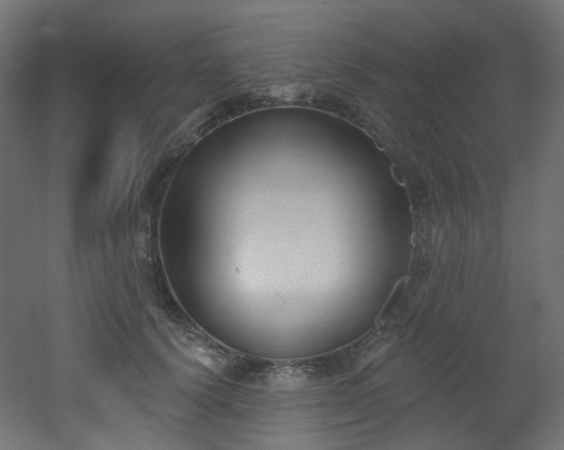 X0000051920656200506241510