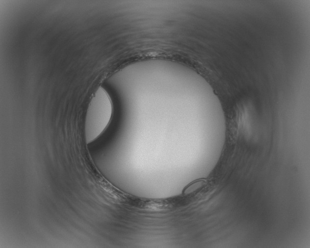 X0000051920657200506241510