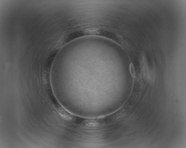 X0000051920658200506241510