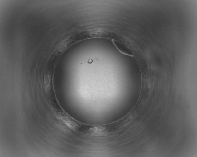 X0000051920660200506241510