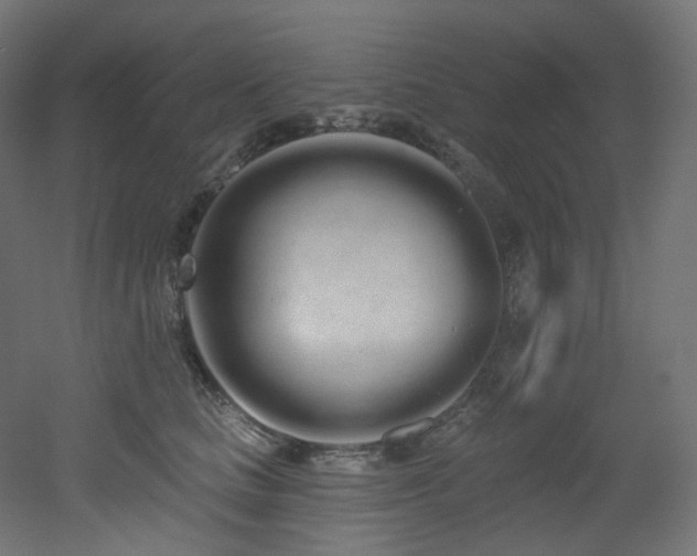 X0000051920661200506241510