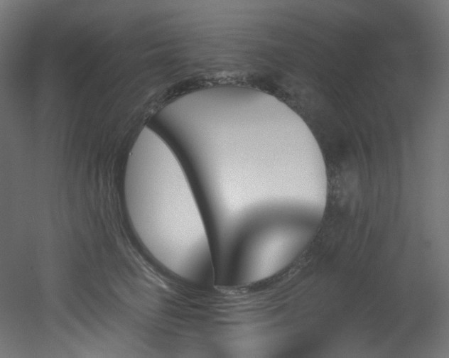 X0000051920662200506241510