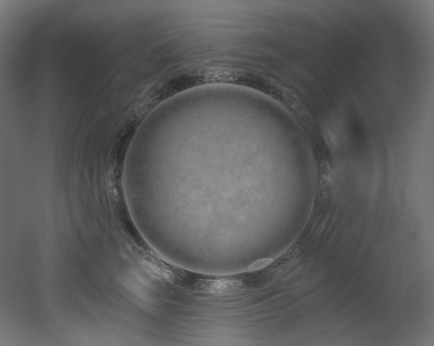 X0000051920663200506241510
