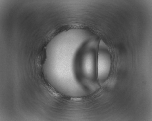 X0000051920665200506241510