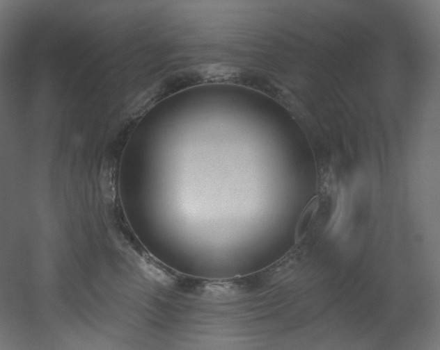 X0000051920666200506241510