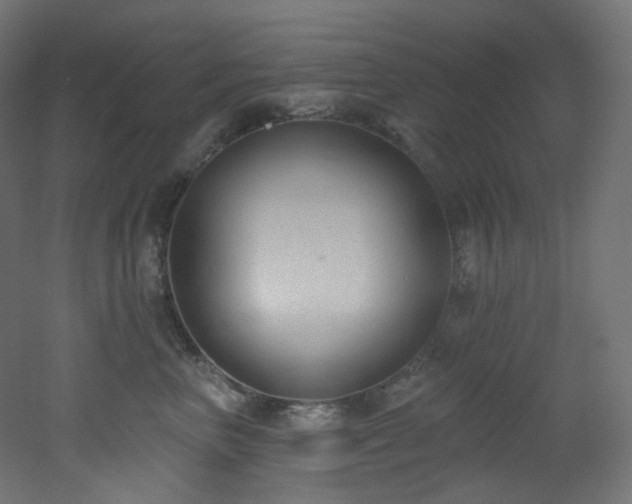 X0000051920667200506241510