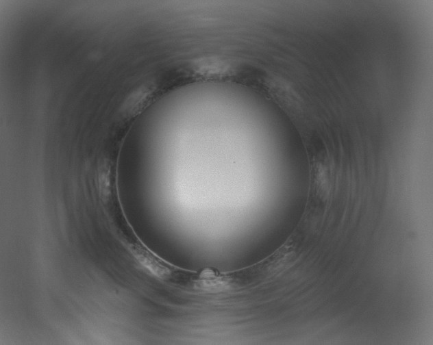 X0000051920668200506241510