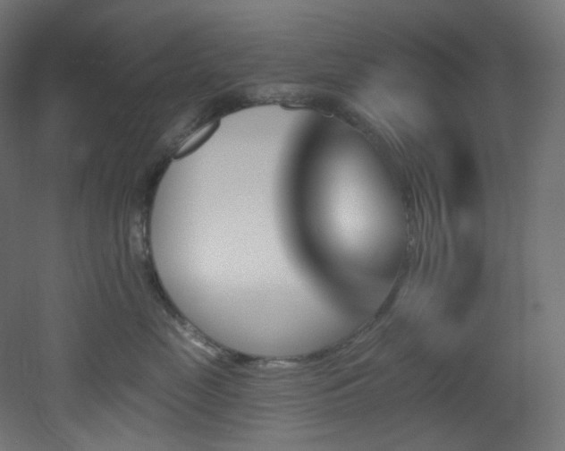 X0000051920669200506241510