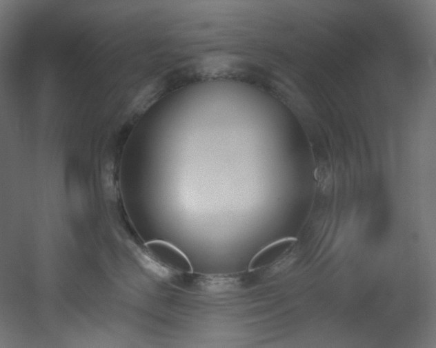 X0000051920670200506241510