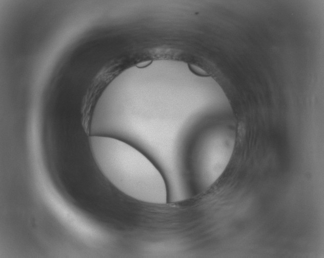 X0000051920671200506241510