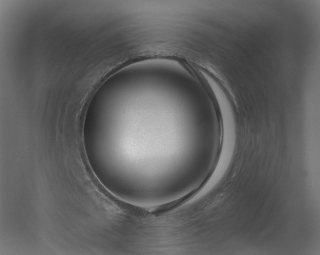 X0000051920673200506241510