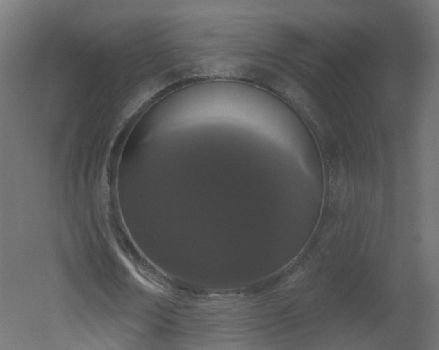 X0000051920674200506241510