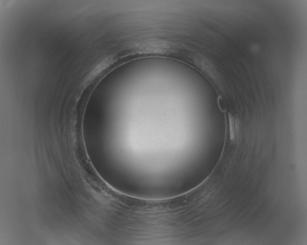 X0000051920675200506241510