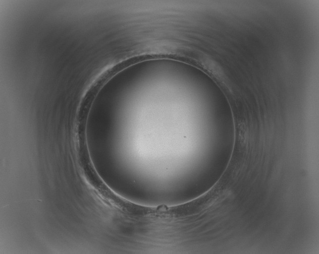 X0000051920676200506241510