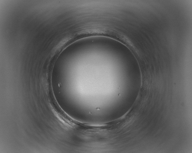 X0000051920677200506241509