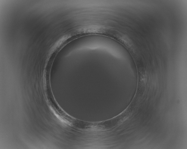 X0000051920678200506241509