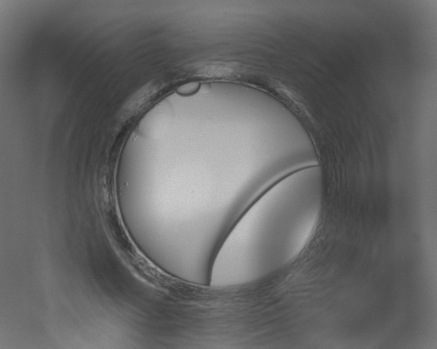 X0000051920682200506241509