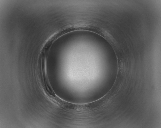 X0000051920684200506241509