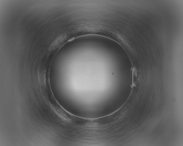 X0000051920685200506241509